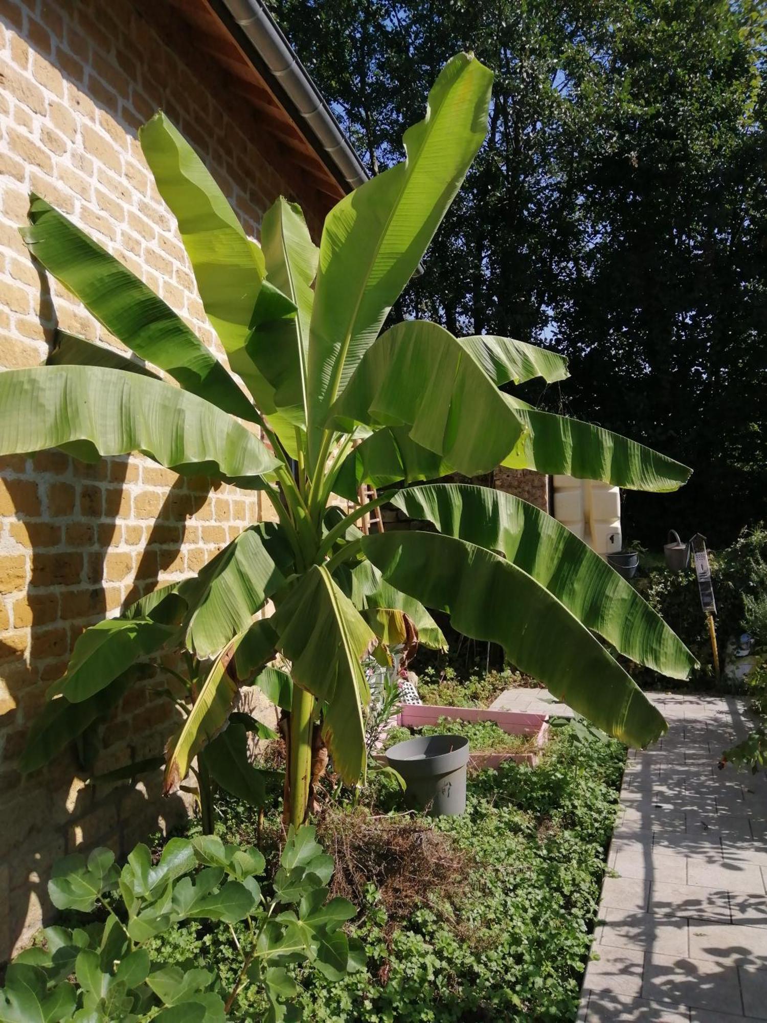 O Jardin De Boutancourt Villa Exterior photo